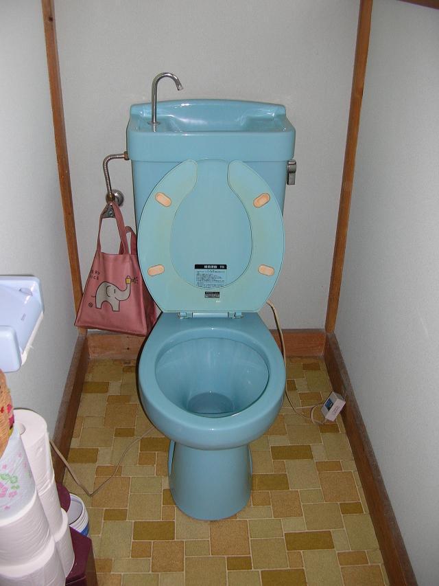 栃木小山　施工前の大便器